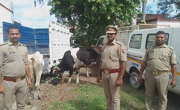 Chitbadagaon Govansh