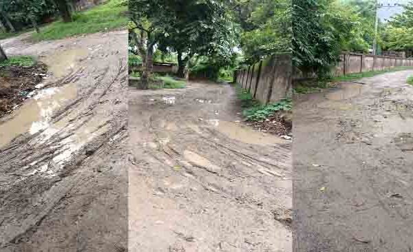 Haldi Sahatwar Road Badhal 1