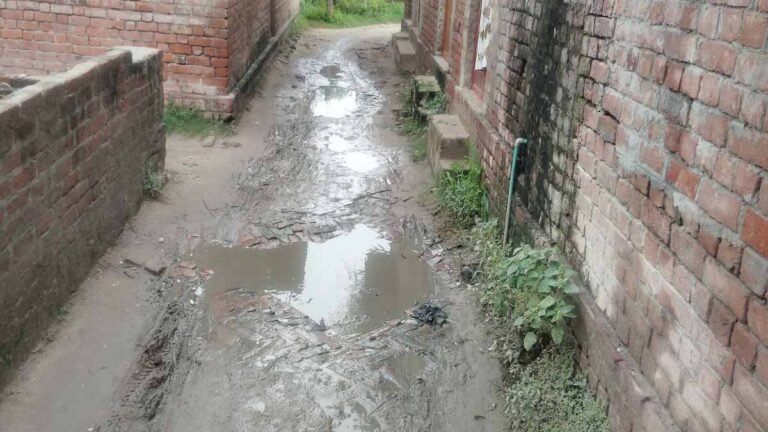 Haldi Road Problem
