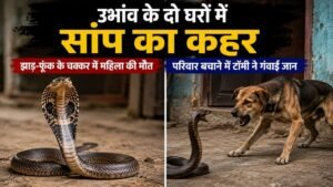 ubhaon snake bite tommy