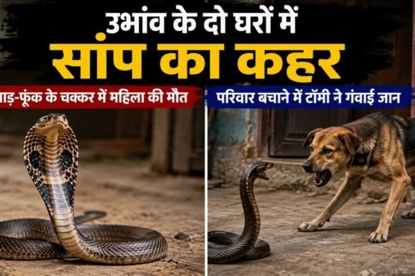 ubhaon snake bite tommy