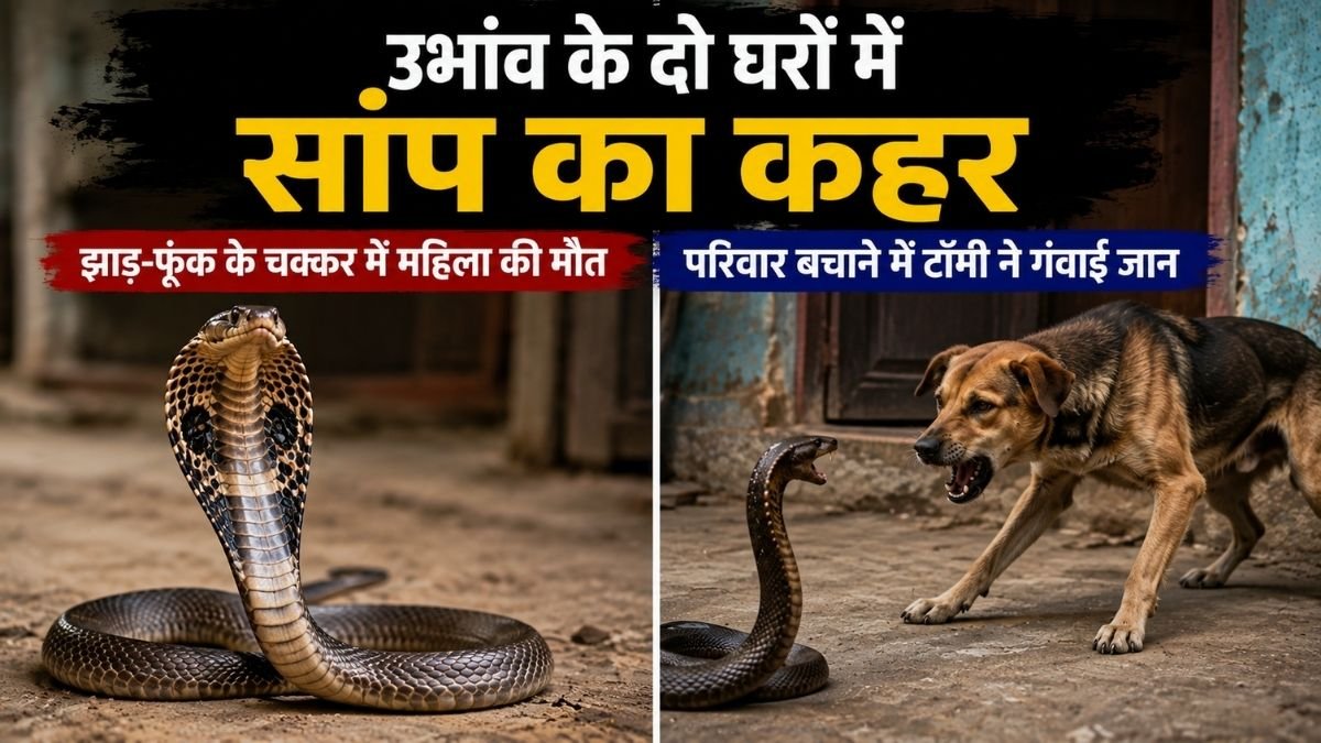 ubhaon snake bite tommy