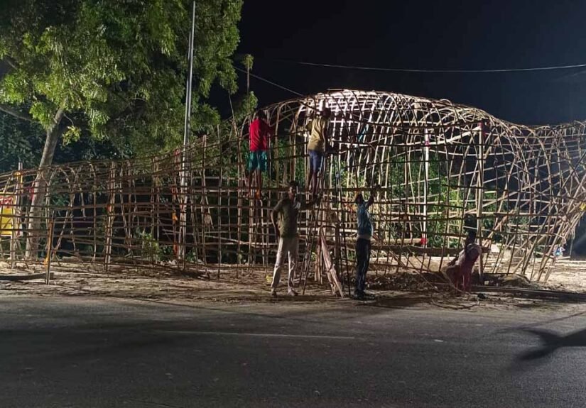 Durga Pandal Dinosor theme