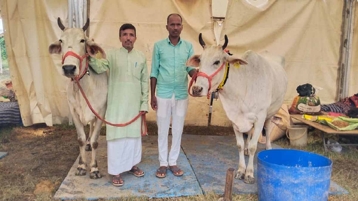 Rangeelo Varanasi 2